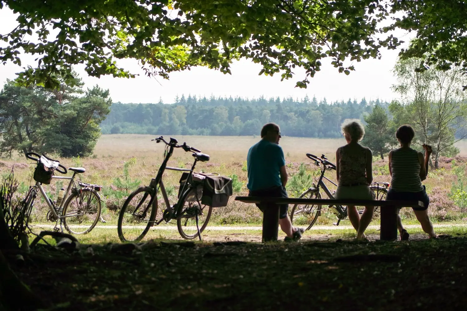 Jak zaplanować wycieczkę rowerową po Polsce